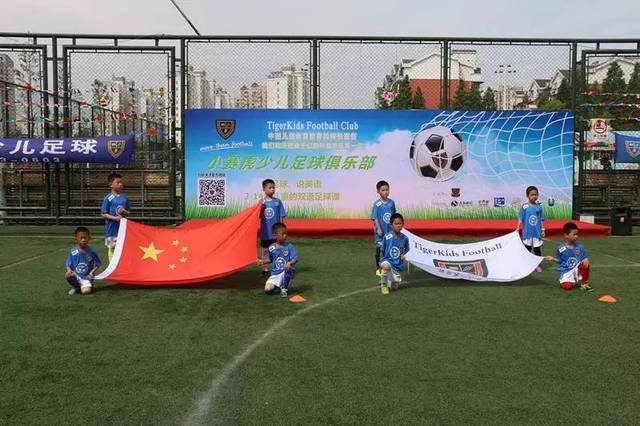 其他豪门中 其他豪门中